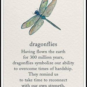 Meet your Posher, Tanya